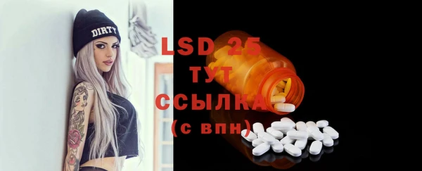 бошки Бородино