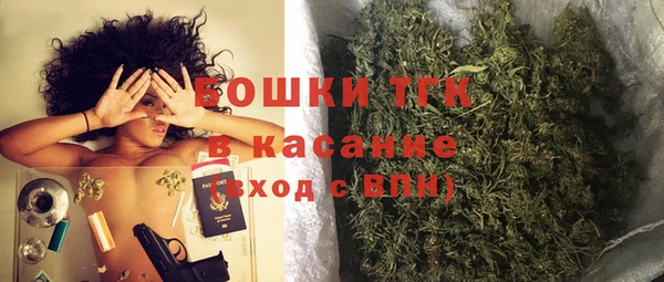дживик Бронницы