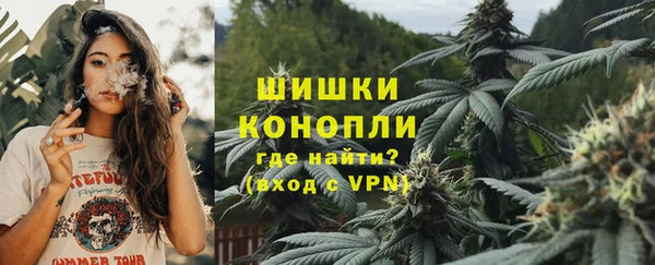 дживик Бронницы