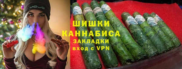 бошки Бородино