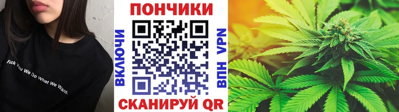 Бошки Шишки VHQ  как найти наркотики  Будённовск 